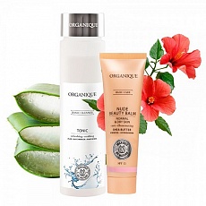 Набір косметики Для Сухої та Нормальної Шкіри: Відновлювальний Тонік і BB Крем Краси 185012